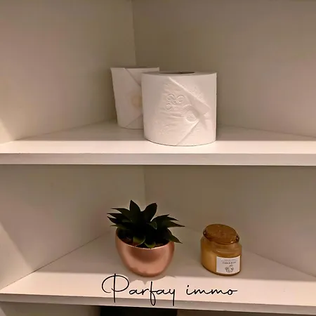 Le Hyper Centre Agreable Et Moderne 2 Pieces