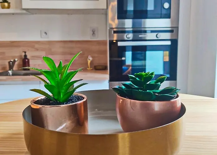 Le Hyper Centre Agreable Et Moderne 2 Pieces *